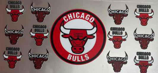 Chicago Bulls