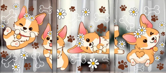 Corgi